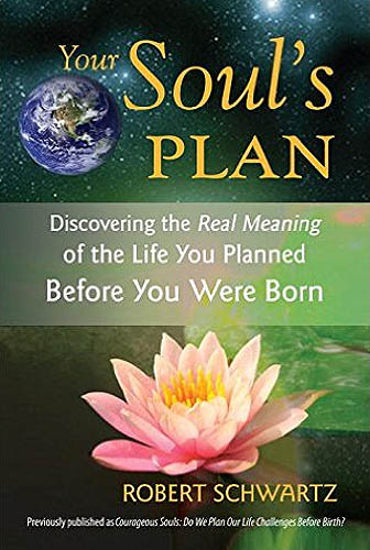 Book Cover: Your Soul's Plan