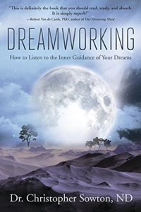 Book Cover: Dreamworking