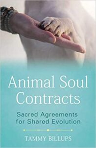 Book Cover: Animal Soul Contracts