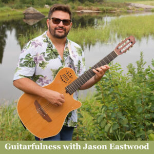 Book Cover: Guitarfulness Music