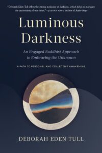 Book Cover: Luminous Darkness