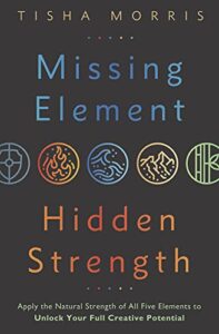 Book Cover: Missing Element, Hidden Strength
