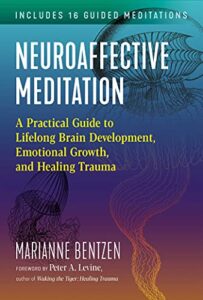 Book Cover: Neuroaffective Meditation