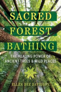 Book Cover: Sacred Forest Bathing