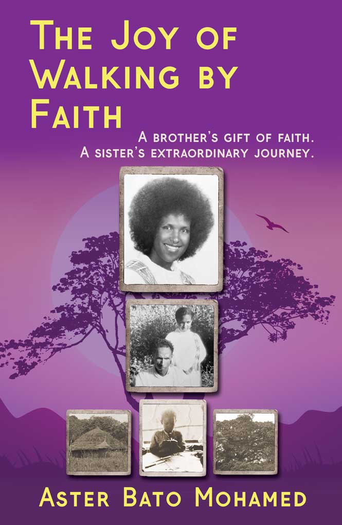 Book Cover: The Joy of Walking by Faith