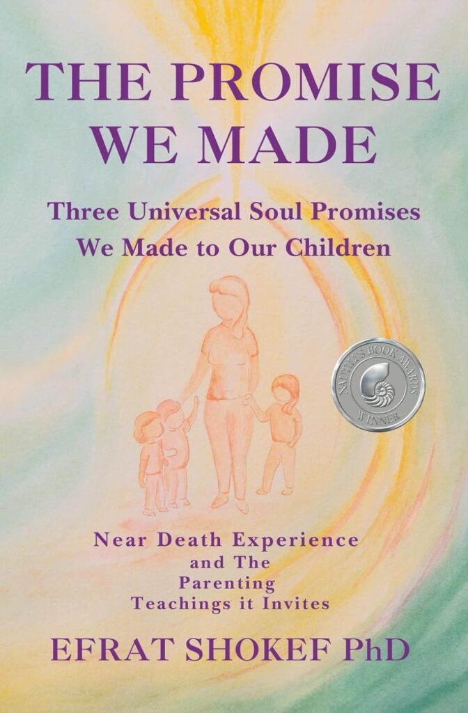 Book Cover: The Promise We Made
