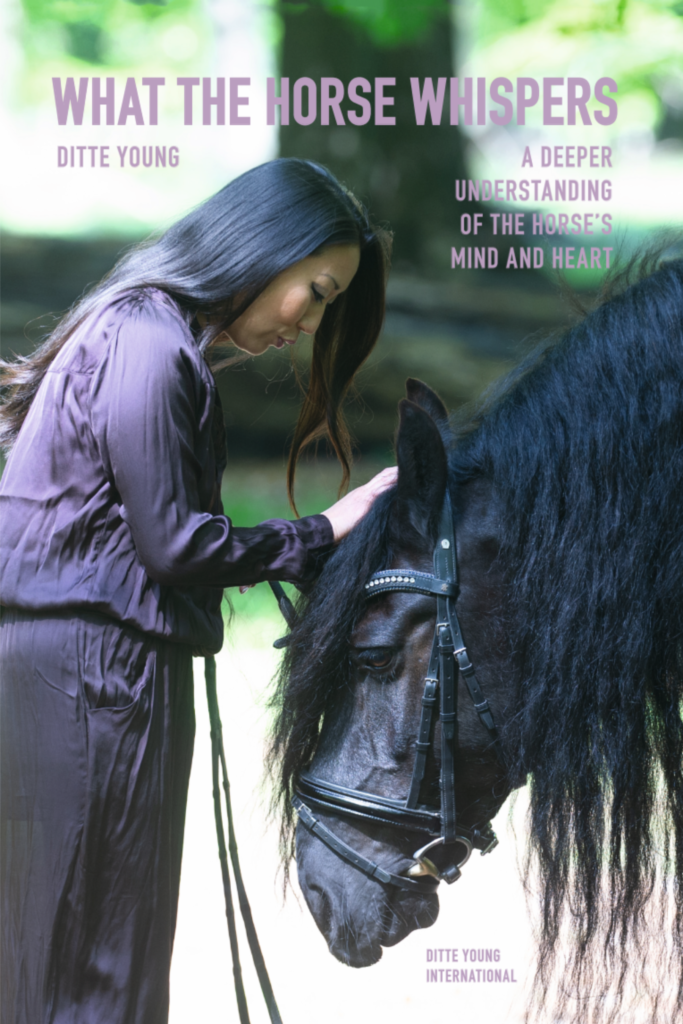 Book Cover: What The Horse Whispers