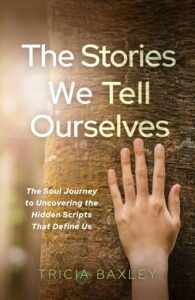 Book Cover: The Stories We Tell Ourselves