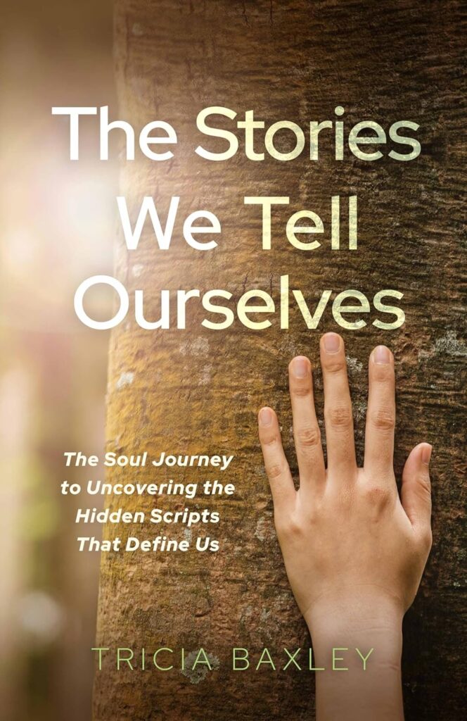 Book Cover: The Stories We Tell Ourselves