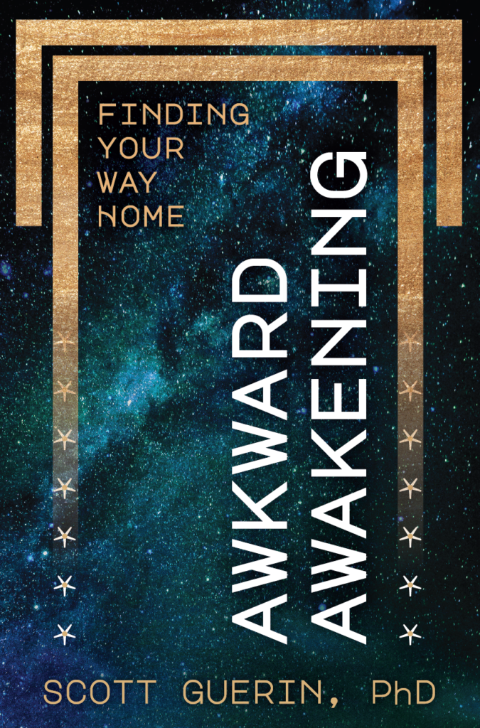 Book Cover: Awkward Awakening
