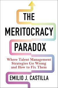 Book Cover: The Meritocracy Paradox