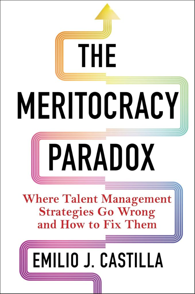 Book Cover: The Meritocracy Paradox