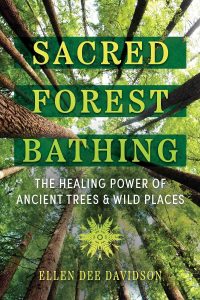 Book Cover: Sacred Forest Bathing